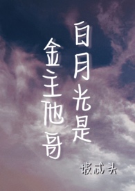 ���¹��ǽ������磨H��