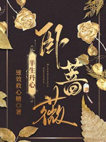 ����������Ǿޱ