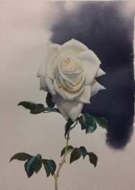 ��һֻ��Ѫ����sc��1v1��H��