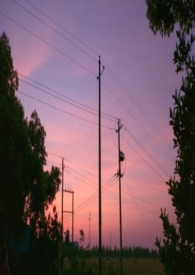 ���ڵ�������Щ�¶�