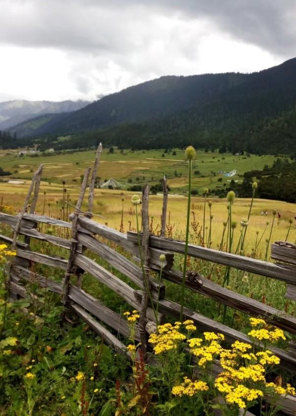 �ܼ����������Ӷ�����