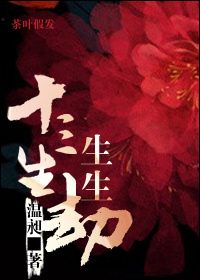 ʮ������������