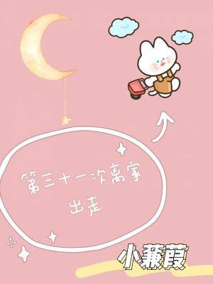 ��31����ҳ���