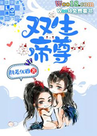 ˫���������� ���棩