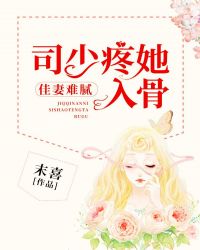 �������壺˾���������