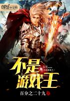 ������Ϸ��