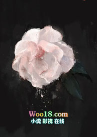 ����֮�����ޱߡ�H NP��